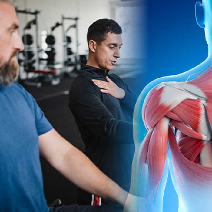 Shoulder Stability BioMechanics